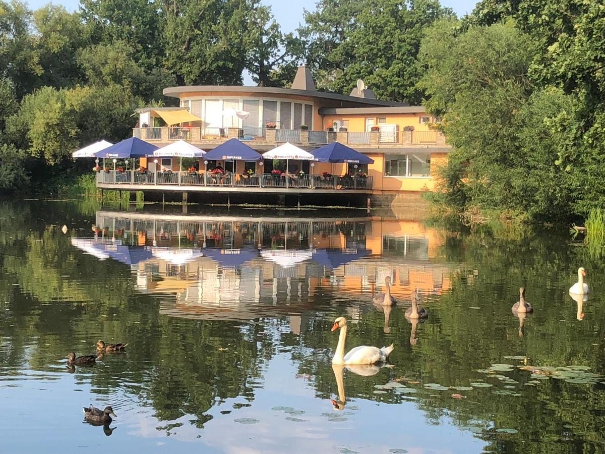 Pension Am See Torgau Buitenkant foto
